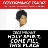 Holy Spirit, Come Fill This Place (Performance Tracks) - EP, 2009