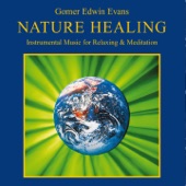 Nature Healing (Instrumental Music for Relaxing & Meditation) artwork