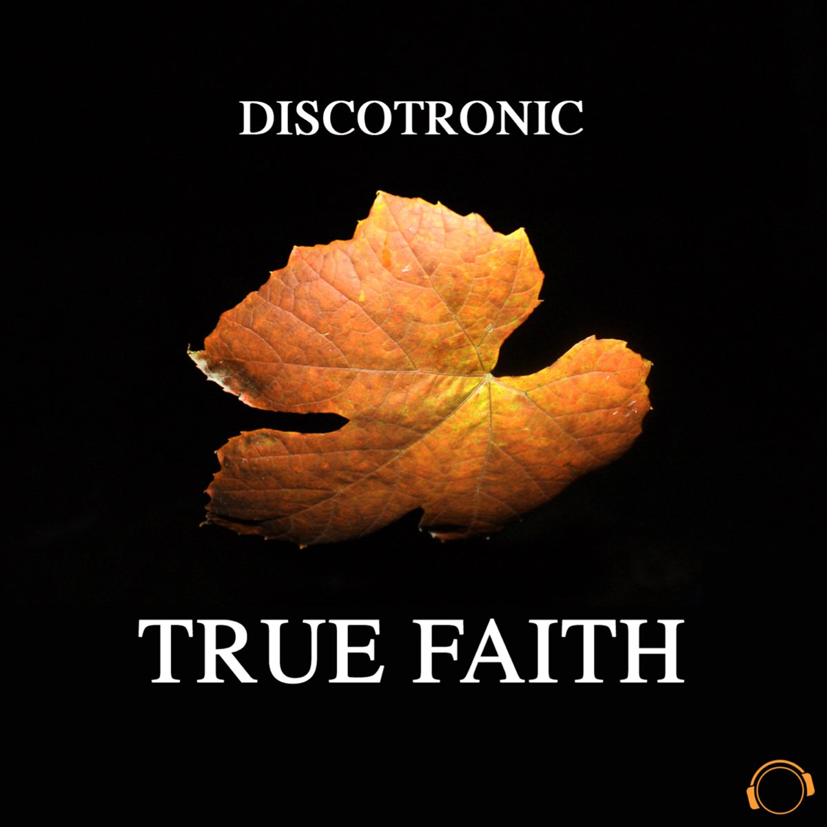 Discotronic. Песня true Faith. True faith