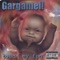 The Fly - Gargamel! lyrics