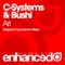 Ari (Suncatcher Remix) - C-Systems & Bushi lyrics