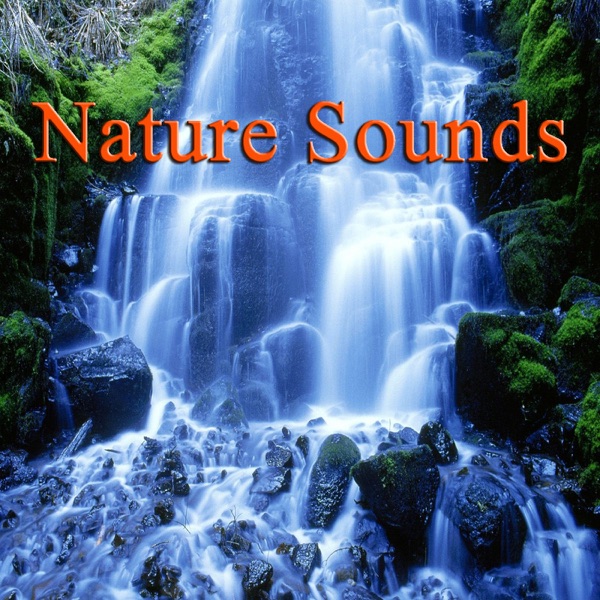 Nature Sounds - EP