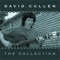 Coming Home - David Cullen lyrics