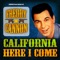 Blue Skies - Freddy Cannon lyrics