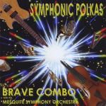 Brave Combo & The Mesquite Symphony Orchestra - A Night On Earth