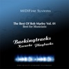 Redemption Song (Acoustic Version) [Karaoke Version Originally Performed by Bob Marley] cover art