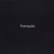 Tranquilo (Acoustic) - Doc Lambert and the Mountain City Band lyrics