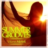 Summer Grooves (Volume Miami), 2012