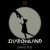 Shadowland: Music for Pilobolus artwork
