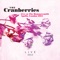 Shattered - The Cranberries lyrics
