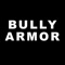 Bully Armor - Diane Fisher Dee Dee lyrics