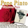 Flamenco Puro