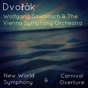 Symphony No. 9 in E Minor, Op. 95: Adagio - Allegro Molto