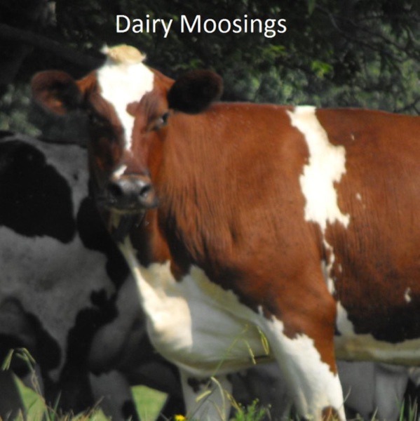 Dairy Moosings cover