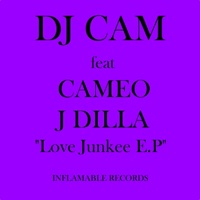 Love Junkee (feat. Cameo) - EP - DJ Cam