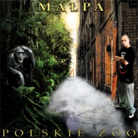 Polskie Zoo - Małpa