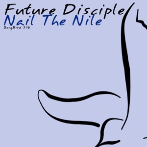 Nail the Nile - Single