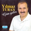 Oy Timmiye