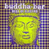 Buddha-Bar: Best of Electro - Rare Grooves artwork