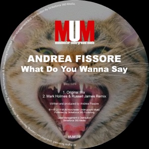 What Do You Wanna Say (Remixes) - Single