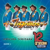 Isabel - Los Tigrillos