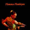 Flamenco Flamboyan