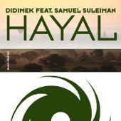 Hayal artwork