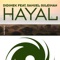 Hayal artwork