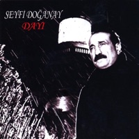 Seyfi Doğanay - Sen Geleydin