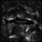If I Were Queen (DM Stith Remix) - My Brightest Diamond lyrics