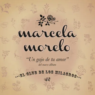 Un Gajo de Tu Amor - Single - Marcela Morelo
