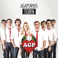 Torn - Single - Agapornis