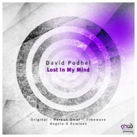Lost in My Mind - David Podhel