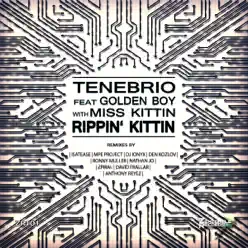 Rippin' Kittin (feat. Tenebrio & Golden Boy) (with Miss Kittin) - Miss Kittin