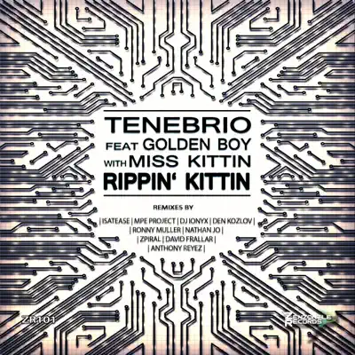 Rippin' Kittin (feat. Tenebrio & Golden Boy) (with Miss Kittin) - Miss Kittin