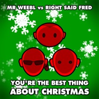 You're the Best Thing About Christmas (Mr Weebl vs. Right Said Fred) - Single - Mr Weebl & Right Said Fred
