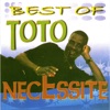 Best of Toto Necessite artwork