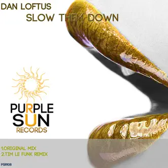 Slow Them Down (Tim Le Funk Remix) by Dan Loftus song reviws