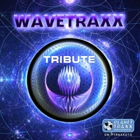 Tribute (Remixes) - Wavetraxx