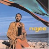 Najee - Can't Hide Love