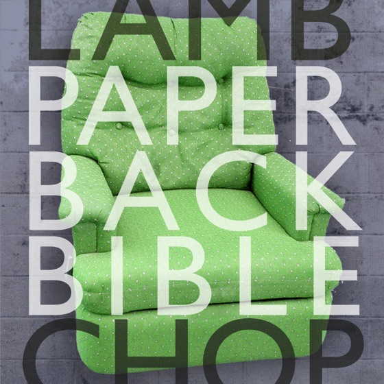 Cover artwork for Paperback Bible