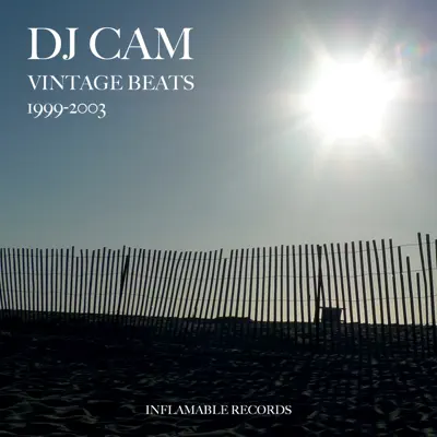 DJ Cam - Shazam