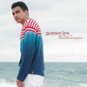 Pra Não Dar Bandeira song art