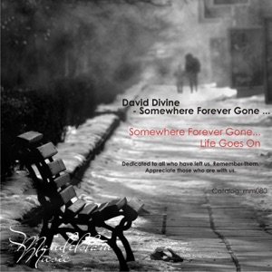 Somewhere Forever Gone... - Single