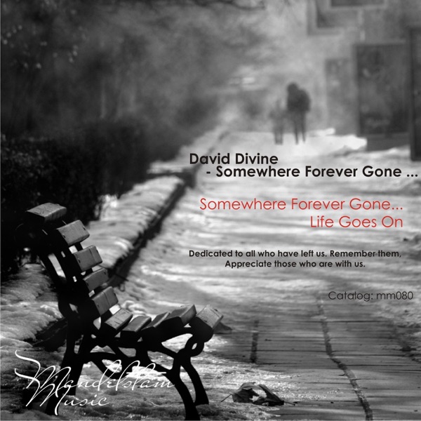 Somewhere Forever Gone... - Single