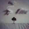 Winterpills - Broken Arm