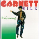 Garnett Silk & Garnet Silk - Place In Your Heart