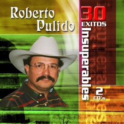 Roberto Pulido - Te Ví Partir