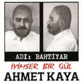 İyimser Bir Gül - Ahmet Kaya