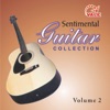 Sentimental Guitar Collection, Vol. 2